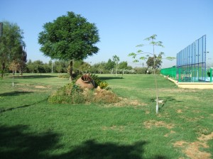 El Arboretum del Club de Campo de Sevilla.