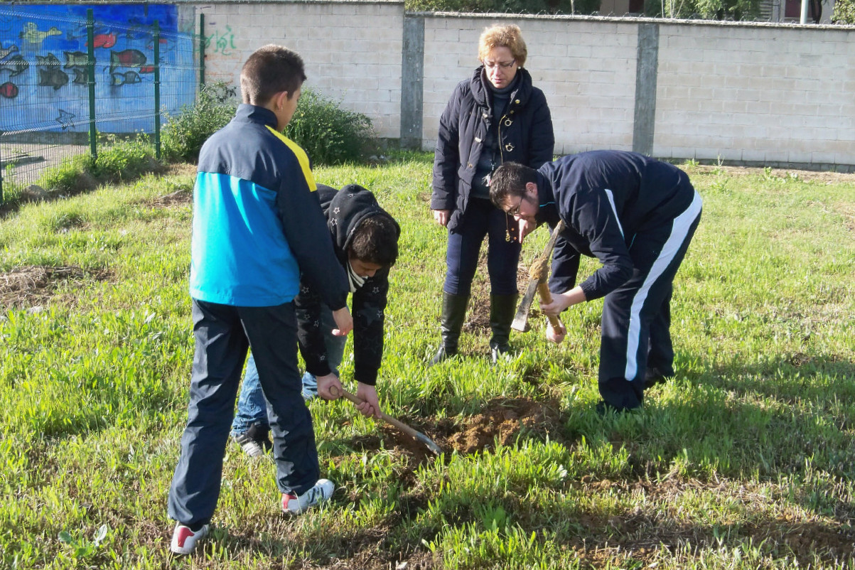 Los primeros esfuerzos para la construcción del Arboreto Las Letanías