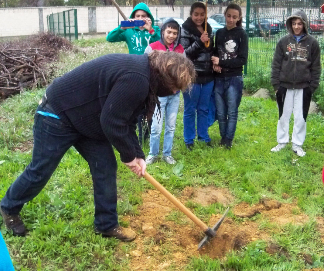 El profesor Carlos ayudando con el pico a cavar el hoyo para plantar el lapacho rosado.