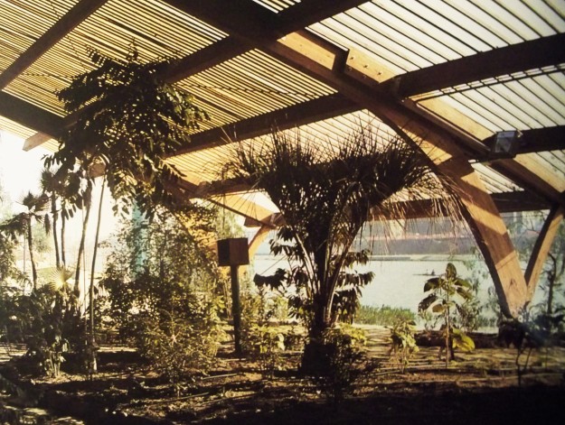 Las plantas tropicales en el Umbráculo del Jardín Americano en 1992.