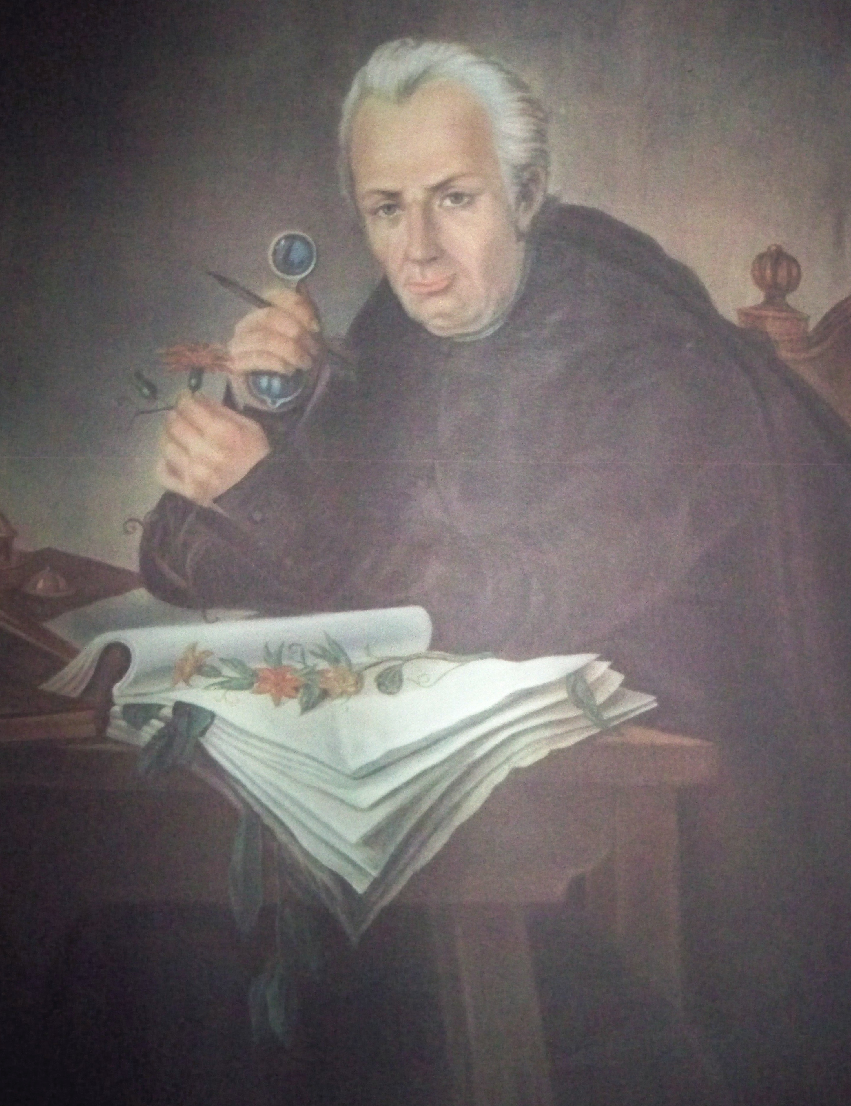 José Celestino Mutis, estudiando la mutisia y el canelo.